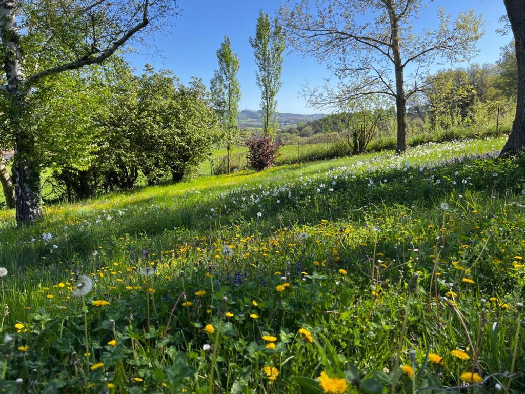 Bergerie Bed & Breakfast Montjustin Eksteriør bilde